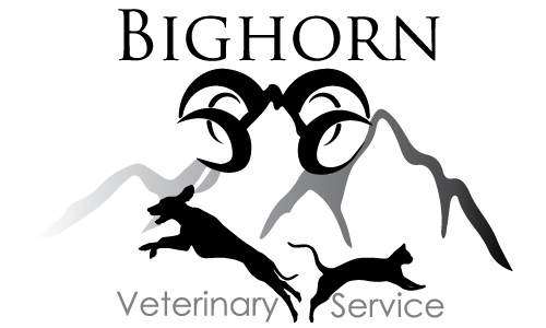Bighorn Veterinary Service Logo